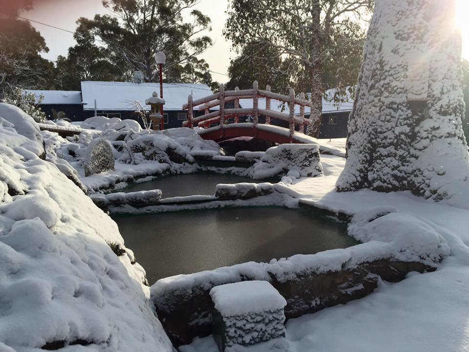 布鲁雷克山林小屋 Steppes 外观 照片